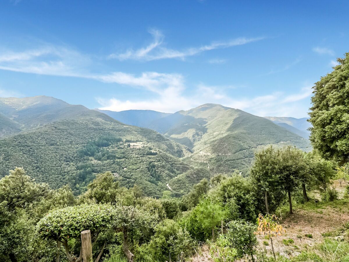 Ferienhaus Montseny Außenaufnahme 7