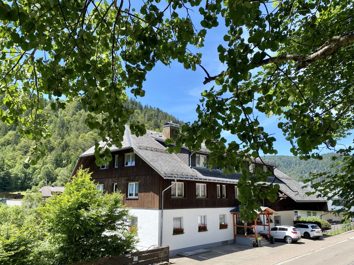 Meierhof, Menzenschwand