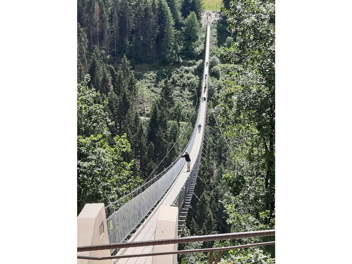 Hängeseilbrücke Geierlay