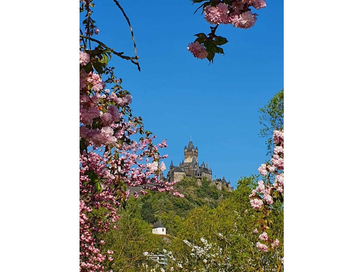 Reichsburg Cochem im Frühling