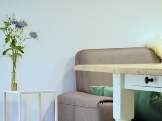 Appartamento per vacanze De Koog Caratteristiche 14