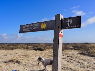 Wandern in den Dünen, Heide, Strand, Wald und Moor