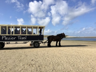 Kutschfahrten oder reiten am Strand