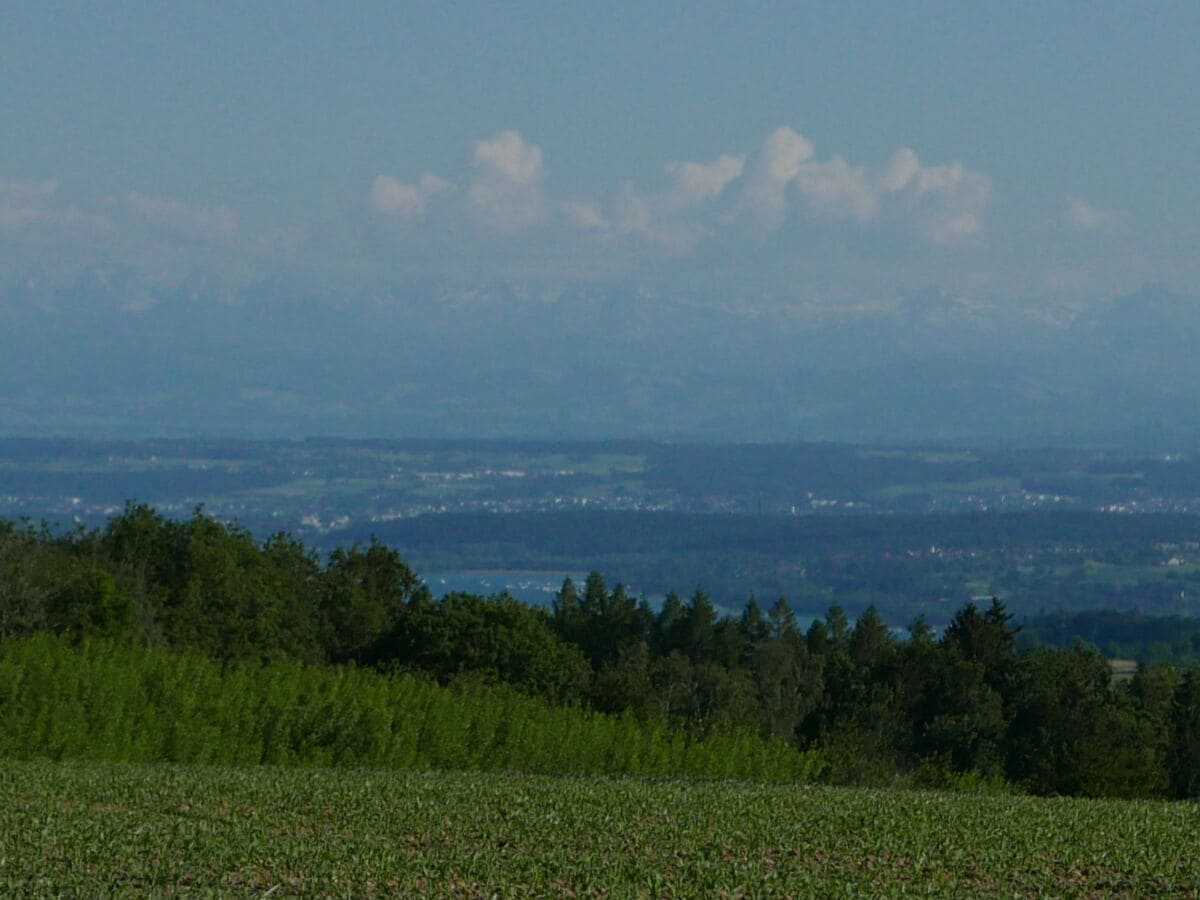 Blick auf den Bodensee und die Alpen Herdwangen-Owingen