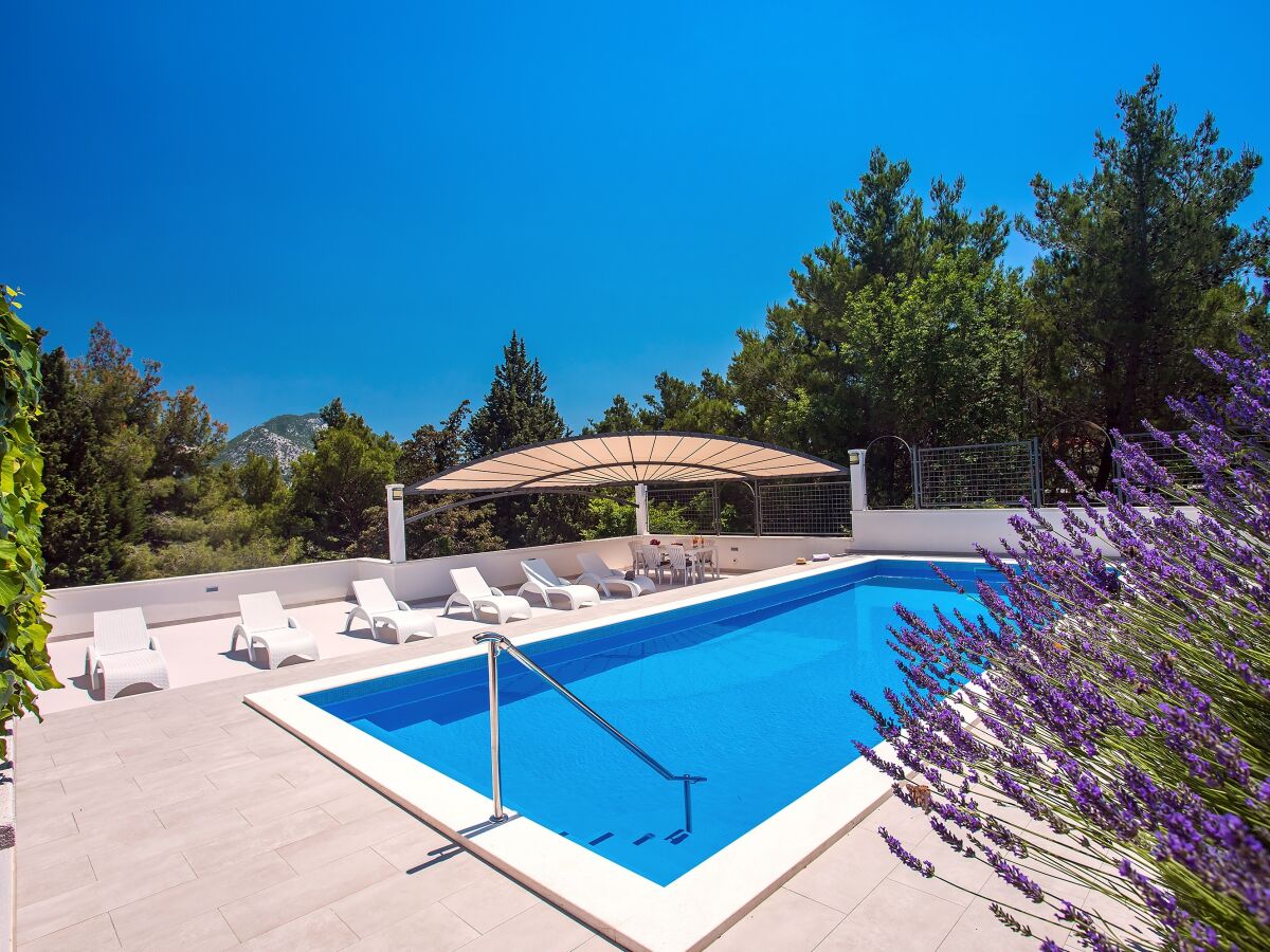 Spacious sun deck area, 40m²pool, sauna