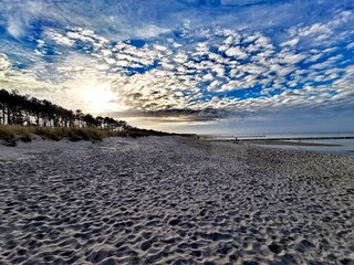 Strand Zingst