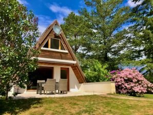 Ferienhaus Haunhorst 3