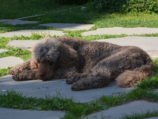 Appartamento per vacanze Udine Ambiente 28