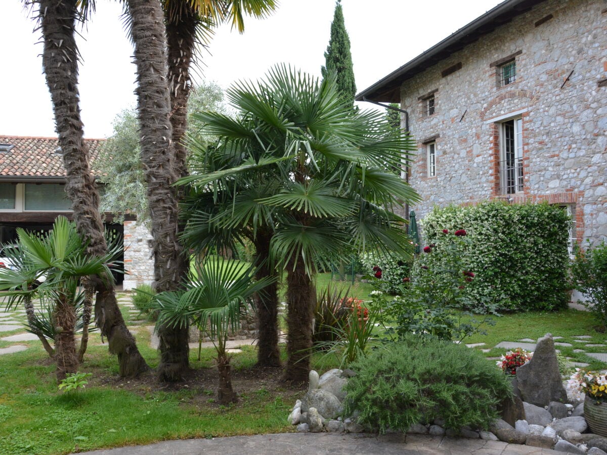 View from the inner court