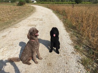 Lescaut and Milton