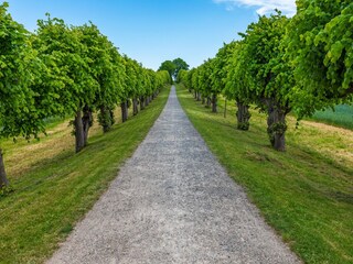 Apartment Klütz Umgebung 38