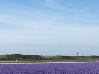 Villa Julianadorp Ambiente 32