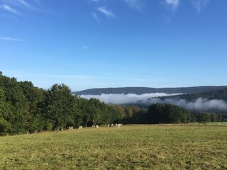 Panoramablick Reinhardshagen