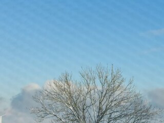 Ferienwohnung Hooksiel Umgebung 31