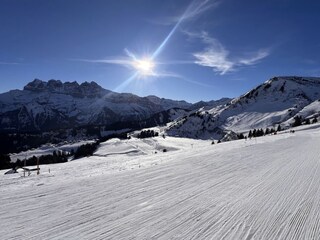 Vakantieappartement Morgins Omgeving 19