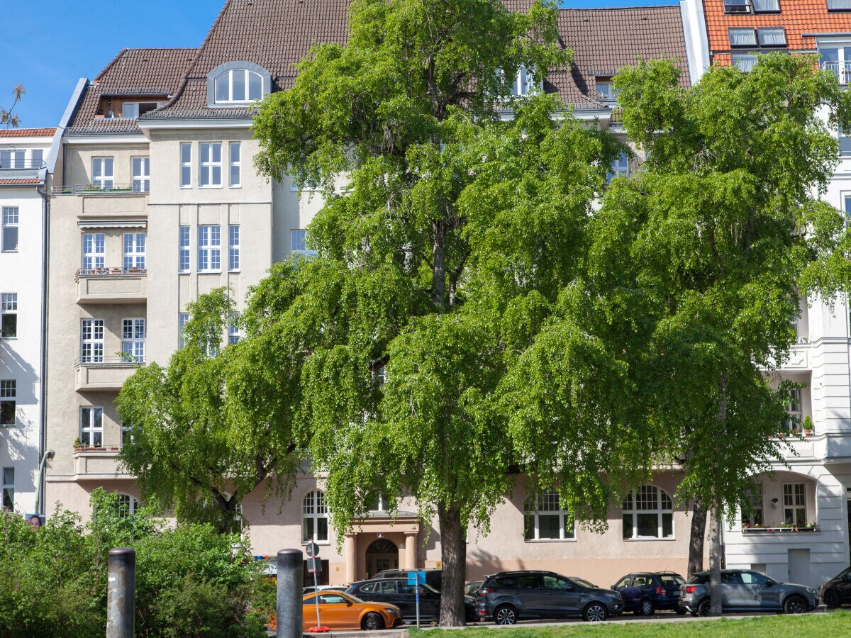 Pension Ferienwohnung Am Park Berlin Charlottenburg Firma Pension Am Park Herr Dieter Titz