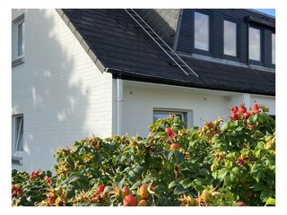 Haus von außen im Herbst