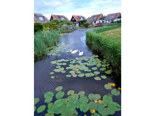 Casa per le vacanze Callantsoog Ambiente 23