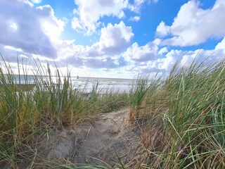 Casa per le vacanze Callantsoog Ambiente 26
