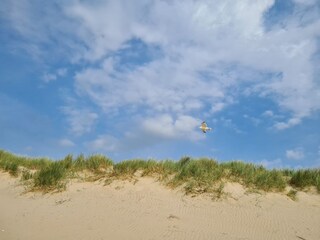 Casa per le vacanze Callantsoog Ambiente 27