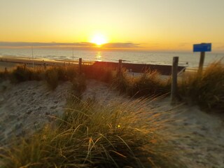 Casa per le vacanze Callantsoog Ambiente 31