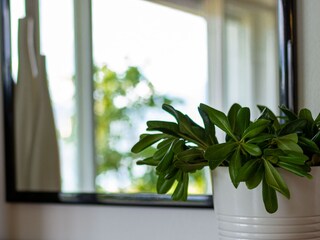 Apartamento de vacaciones Tremosine sul Garda Características 9