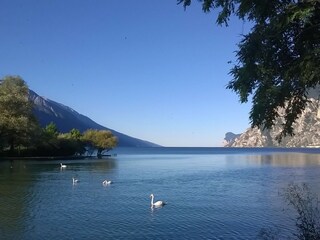 Blick von Torbole