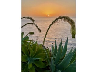 Vakantiehuis San Sebastián de La Gomera Buitenaudio-opname 10