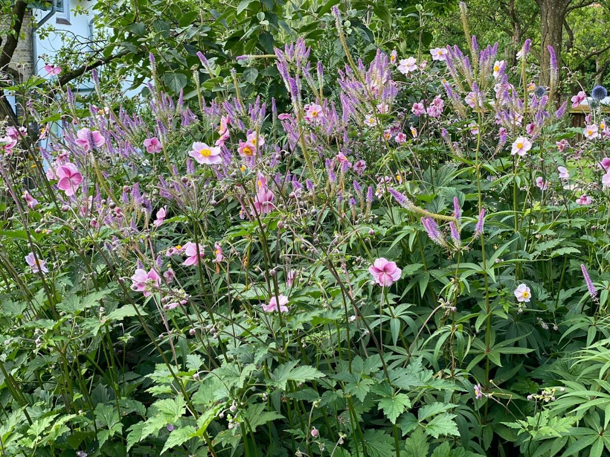 Blumen tanzen im Wind