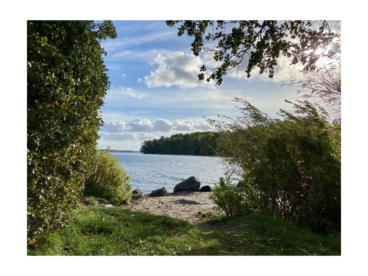 Spaziergang am Plöner See