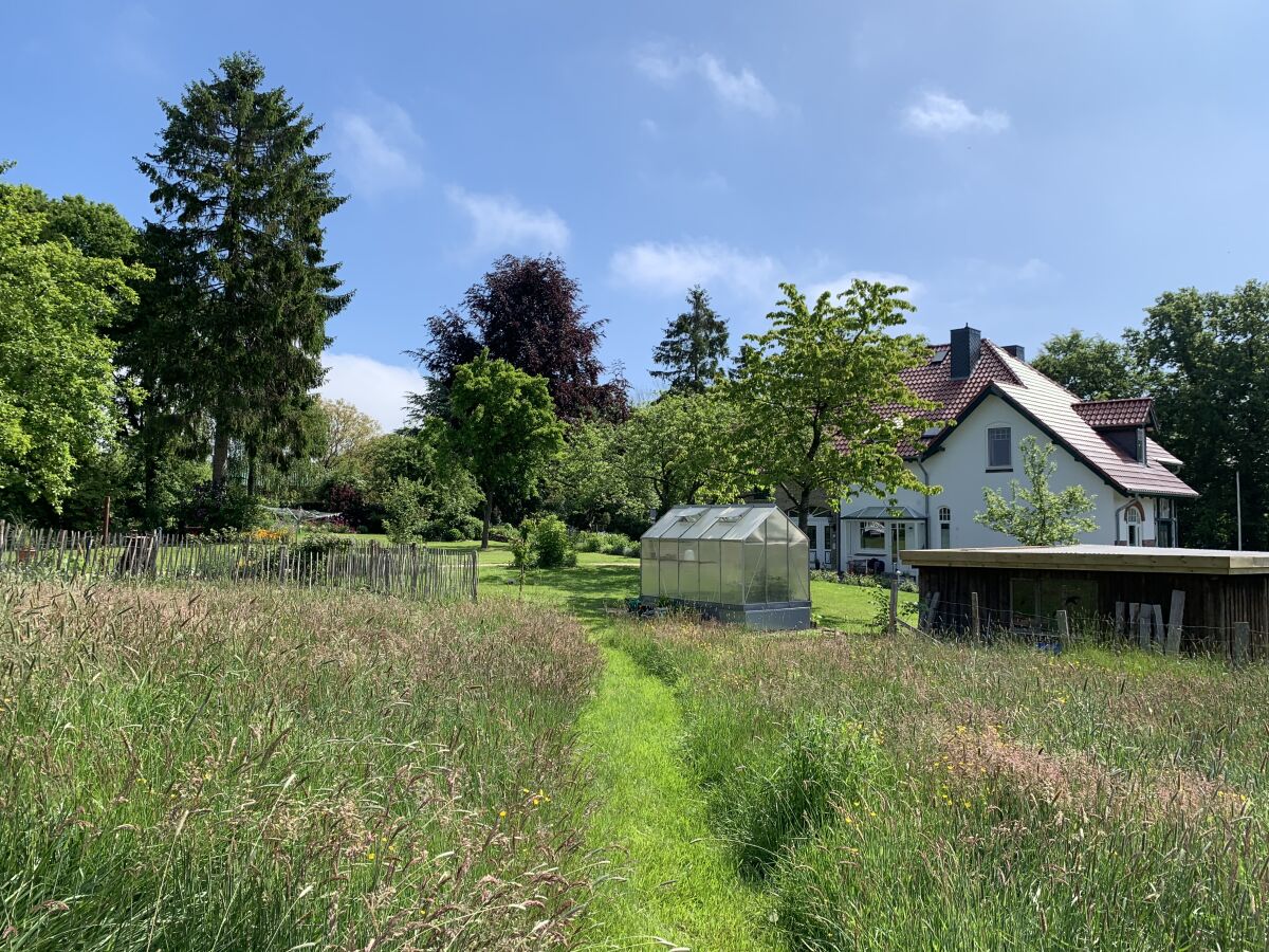 Ausblick auf unsere  Wiese