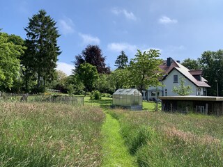 View of our property from the orchard