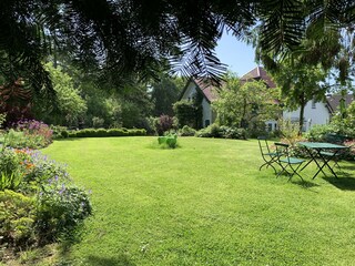 View of the garden and the castle