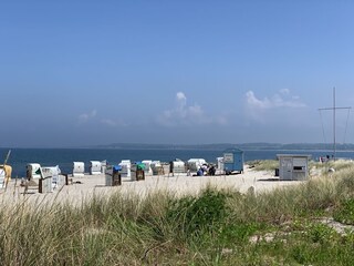 Beach chairs on Howacht Beach