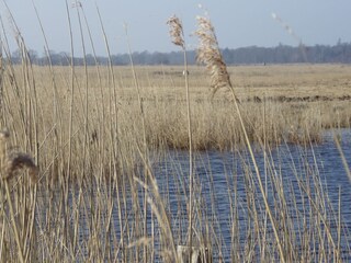 Natur