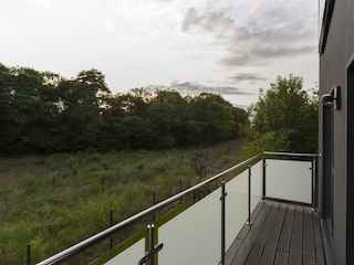 Blick vom Balkon in den Park