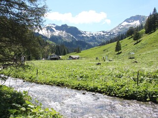 Apartamento de vacaciones Morgins Entorno 15