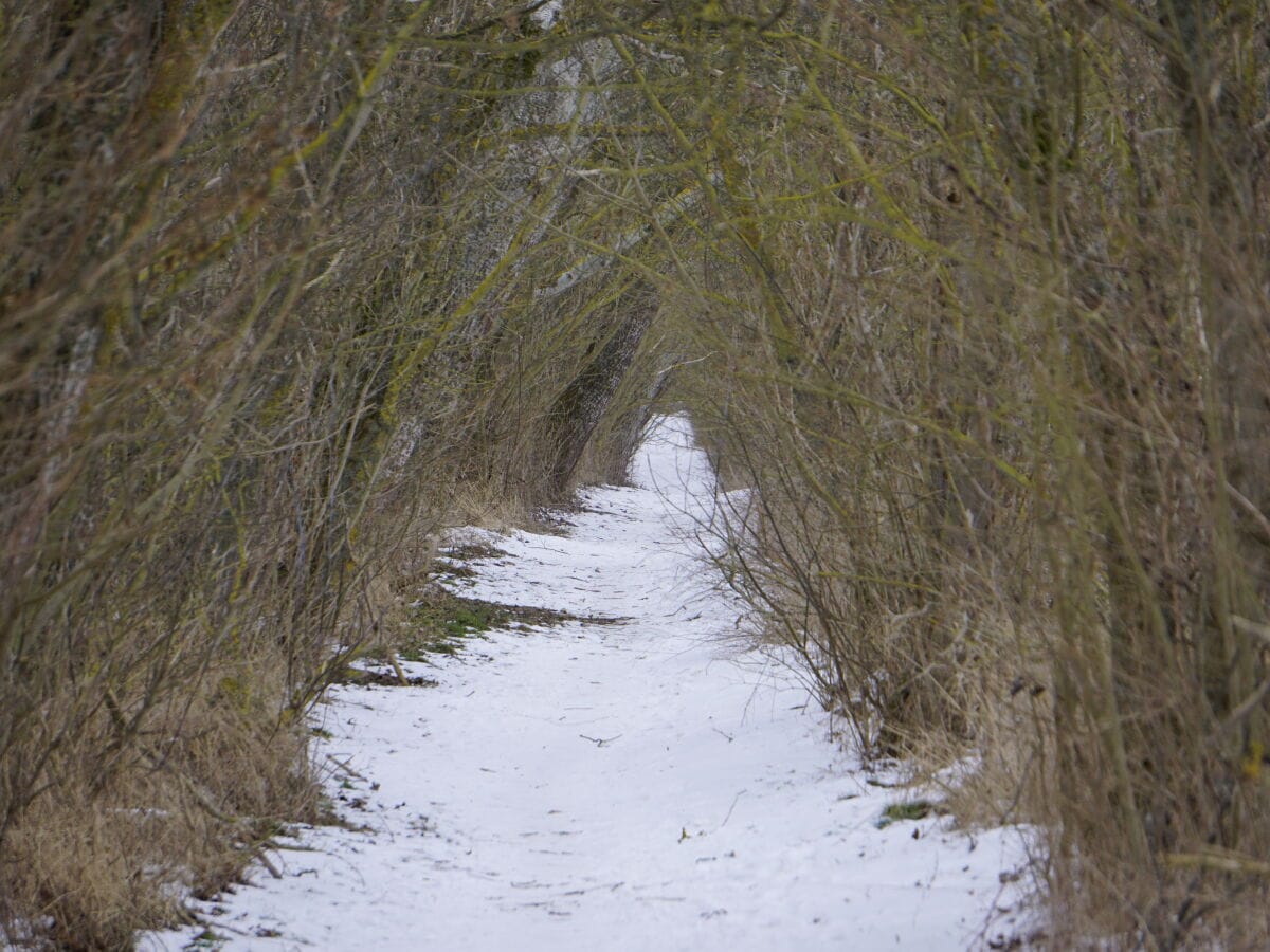 Wanderweg