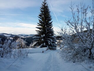 Appartamento per vacanze Eggen Ambiente 33