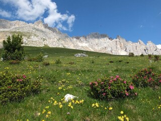 Appartamento per vacanze Eggen Ambiente 35