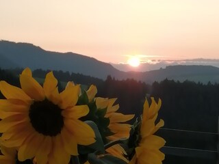 Vakantieappartement Eggen Buitenaudio-opname 15