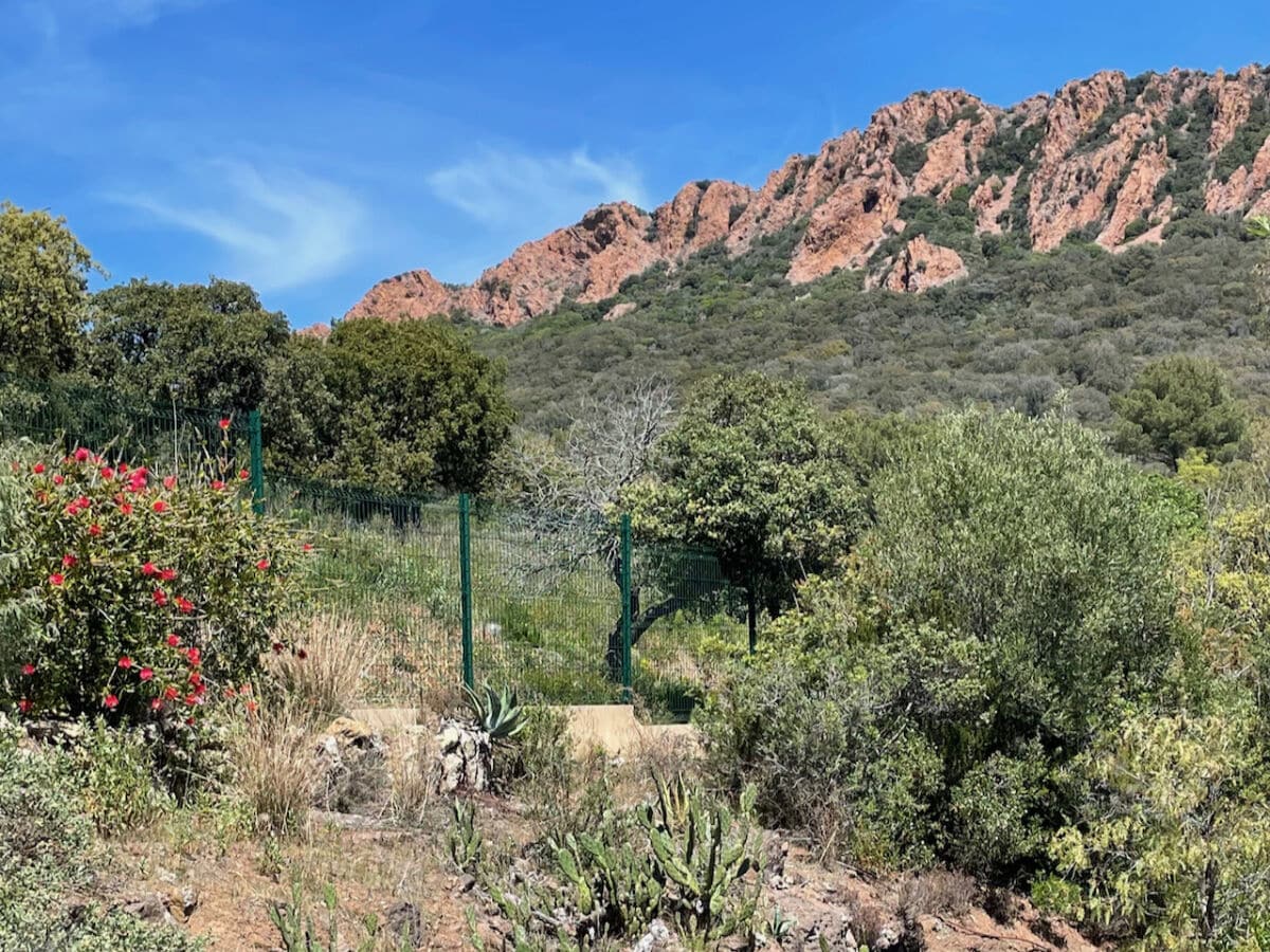 Der Garten verbindet sich mit dem Esterel-Gebirge