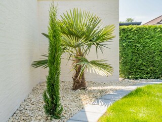 Casa per le vacanze Renesse Registrazione all'aperto 5