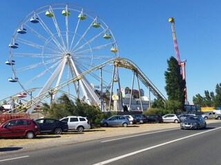 Area