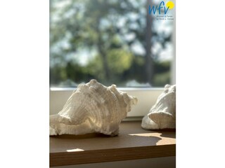 Apartamento de vacaciones Juist  19