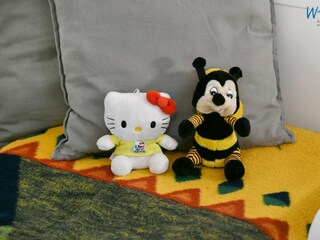 Appartamento per vacanze Binz Caratteristiche 34