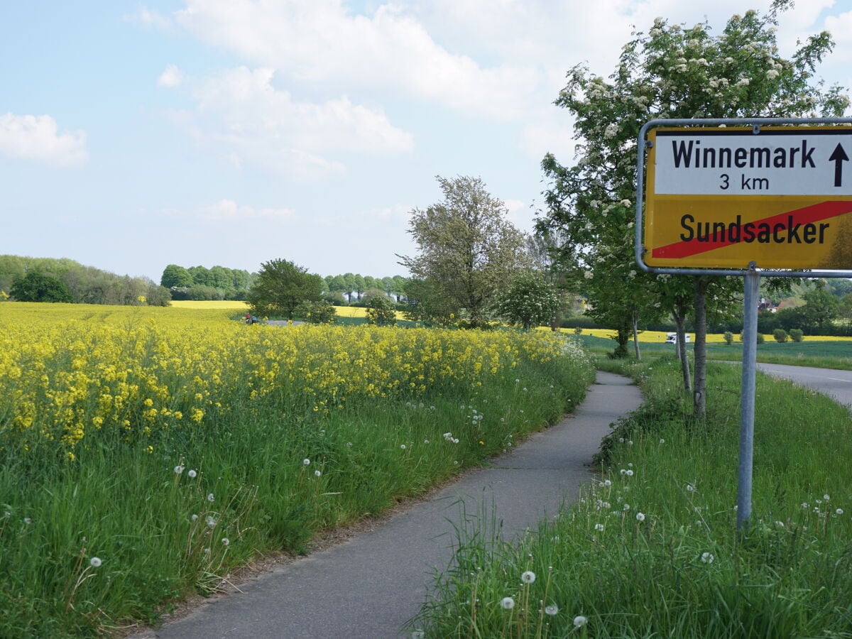 Mitten im Naturpark Schlei