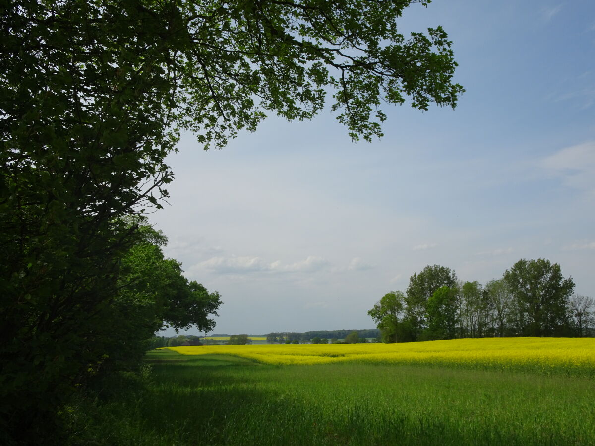 Wanderweg zur Schlei Steinerholz