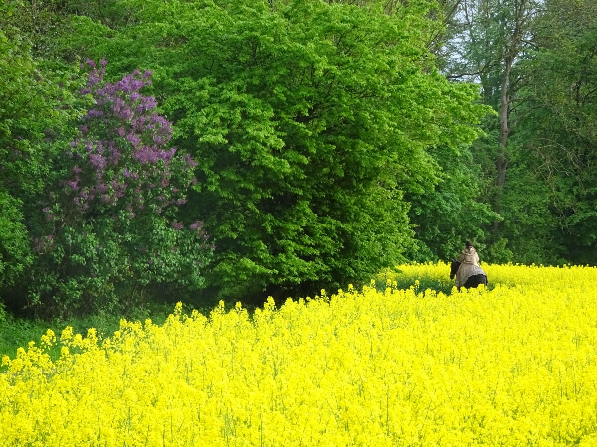 Farbenspiel