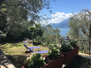 privater Garten, 1.Stock